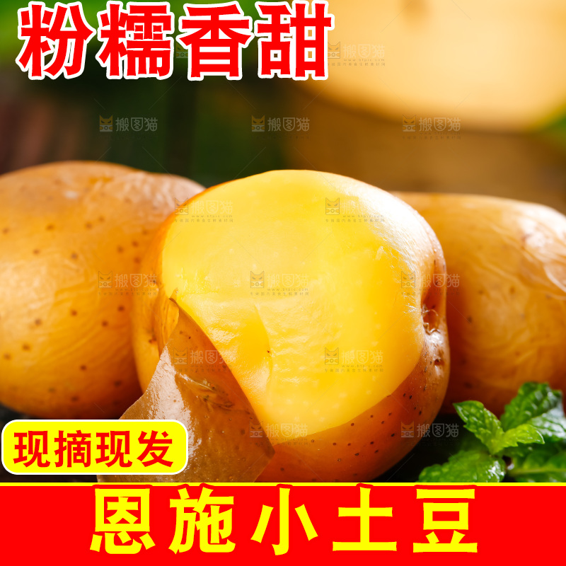 黑石板上的黄心小土豆