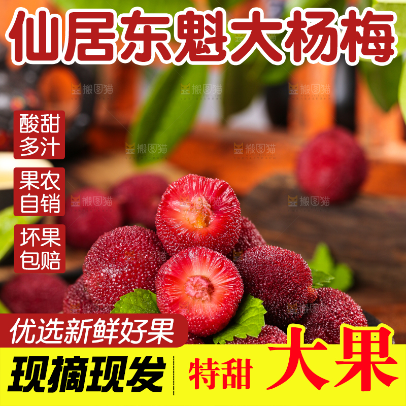 碟子里的仙居杨梅