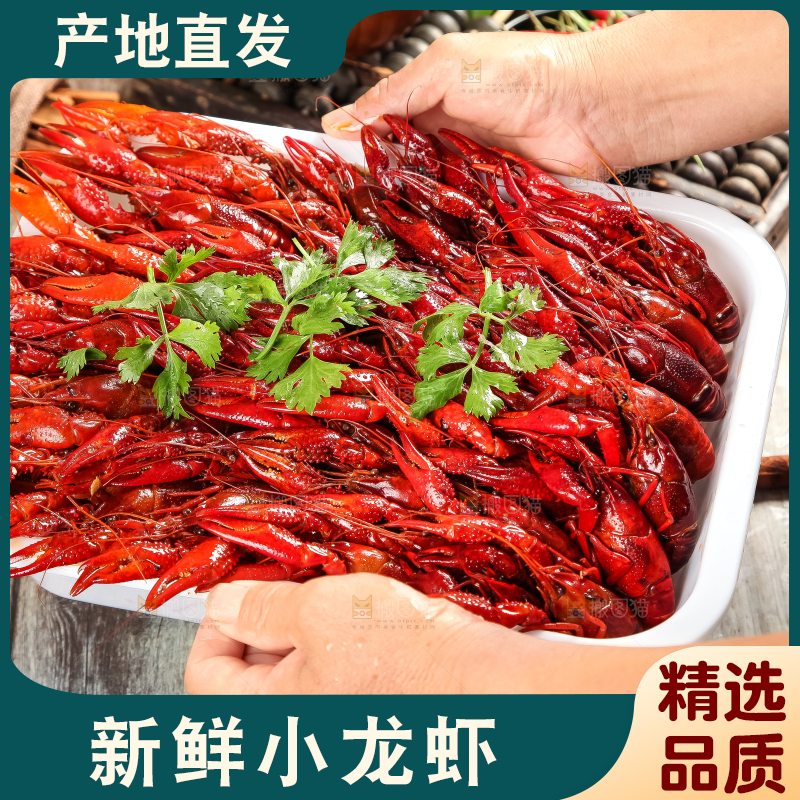 盘子里装着蒸虾