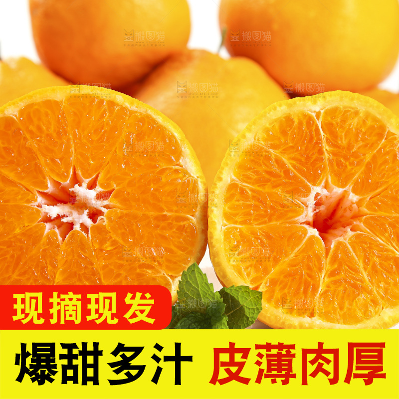 白底上放着一堆春见耙耙柑