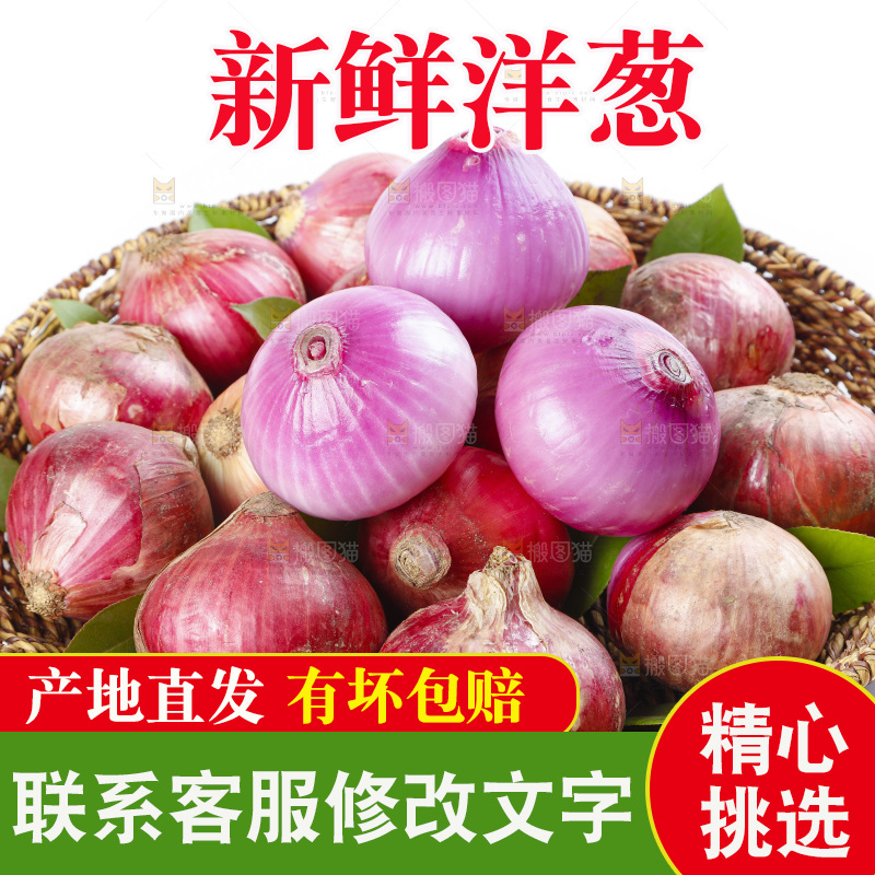 篮子里的新鲜洋葱
