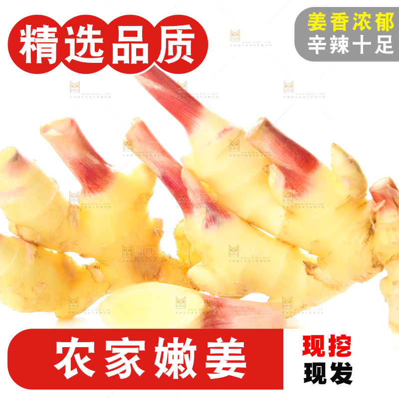 白底上的红芽嫩姜