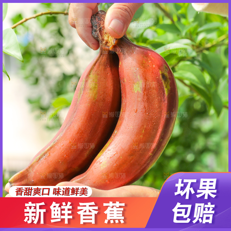 手里拿着美人蕉