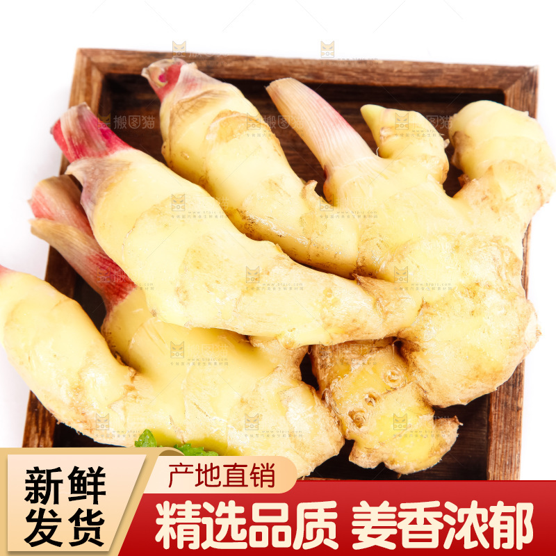 白底上的红芽姜