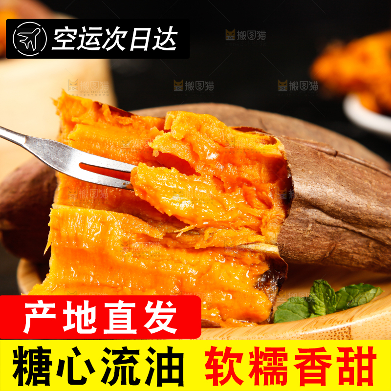 黑底上的山东烟薯