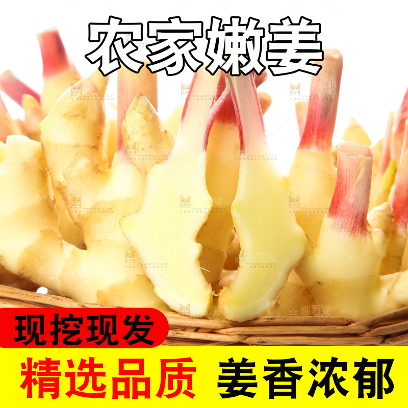 白底上的红芽嫩姜