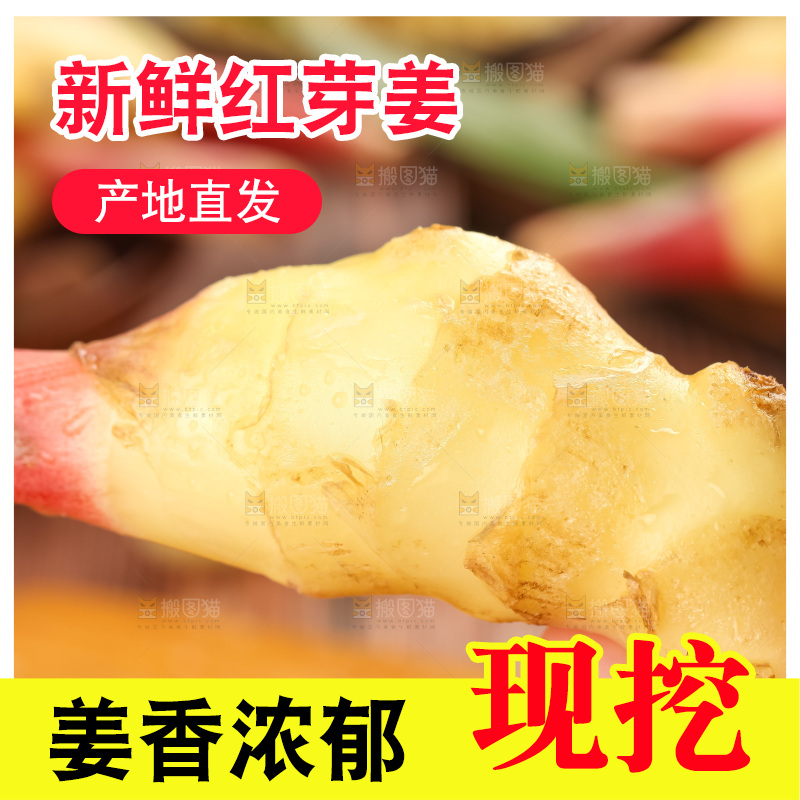 木板上放着四川生姜