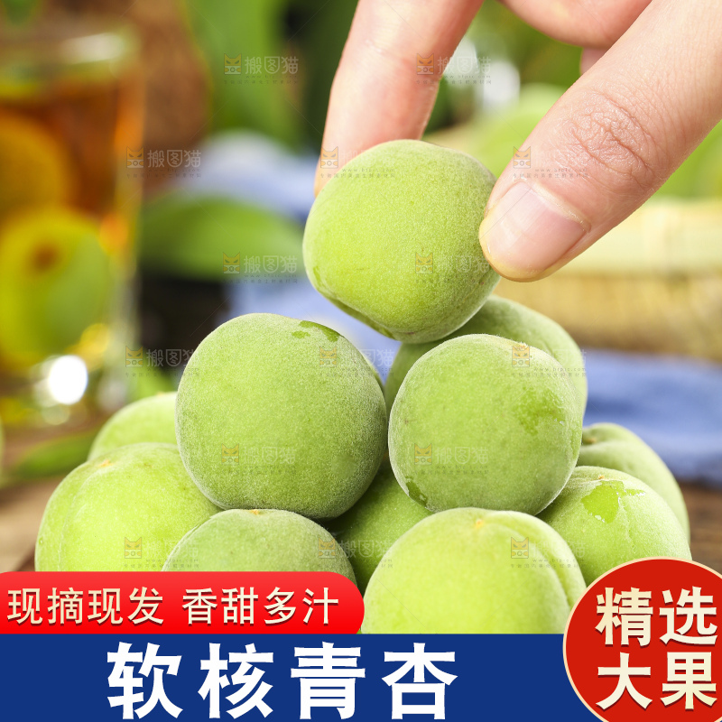 手里拿着脆酸青杏