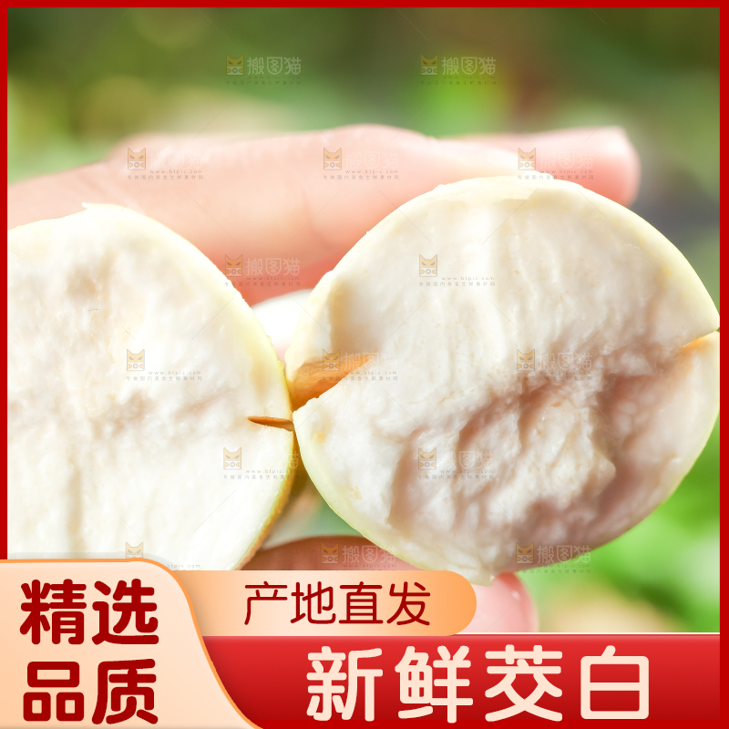 手里拿着湖北新鲜茭白