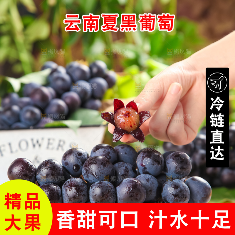 白格子底上放着夏黑葡萄