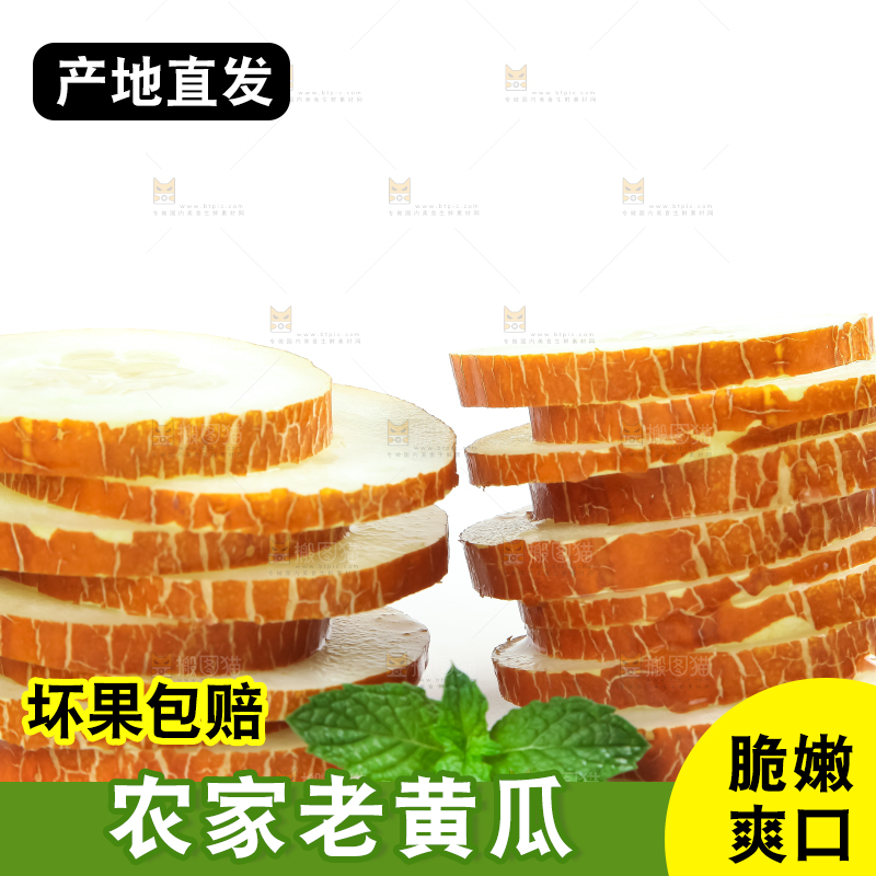 白底上的新鲜老黄瓜