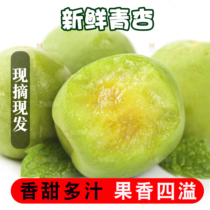 白底上的新鲜青杏