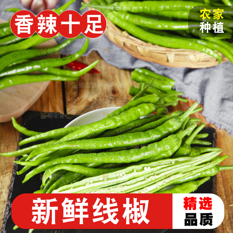 石板上放着青线椒