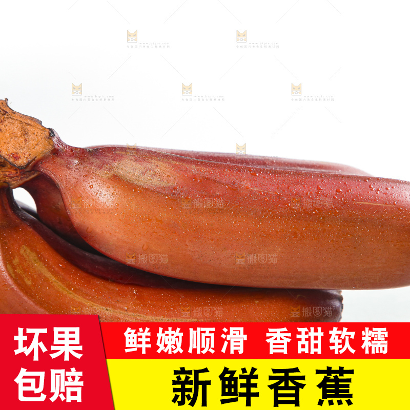 白底上的红皮美人蕉