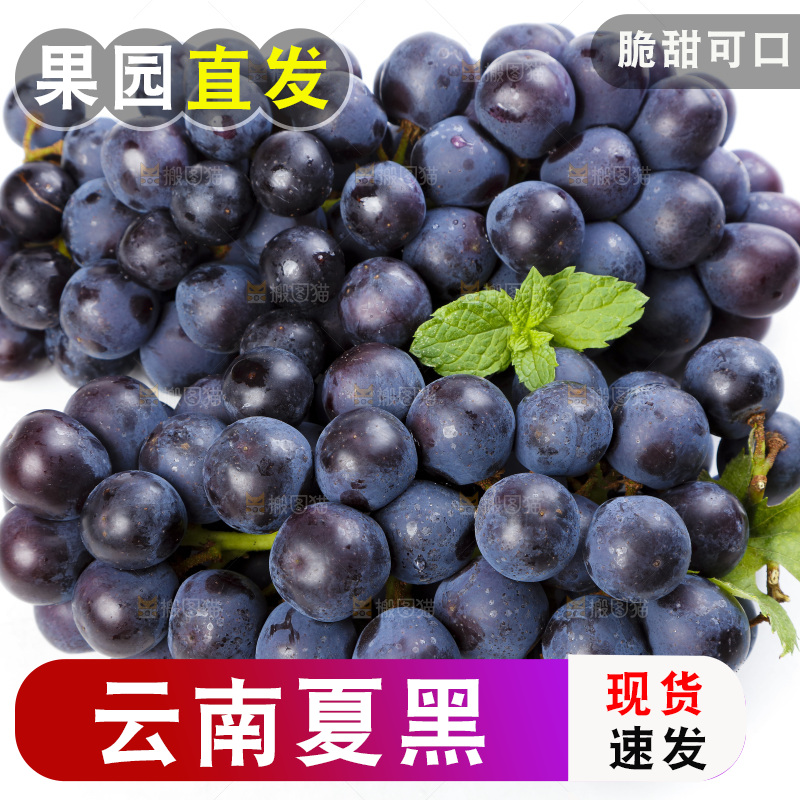 白底上的巨峰葡萄