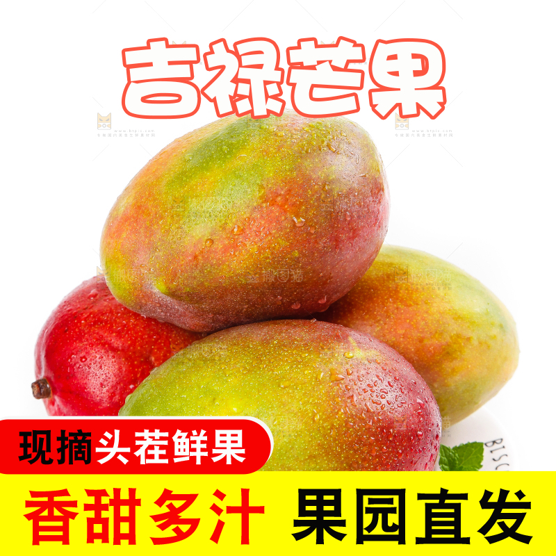 白底上的四川吉禄芒