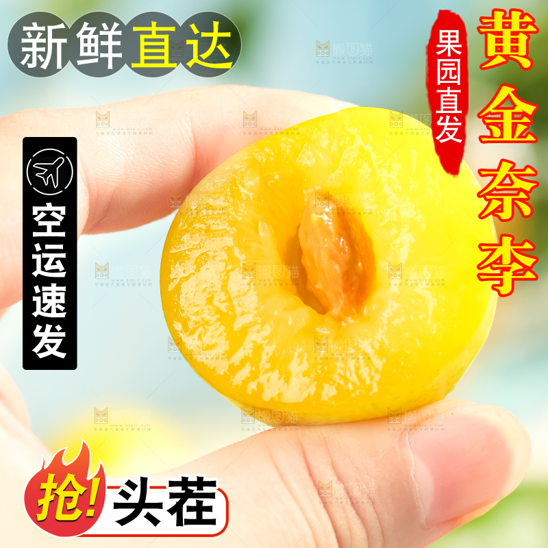 手里拿着新鲜黄金奈李
