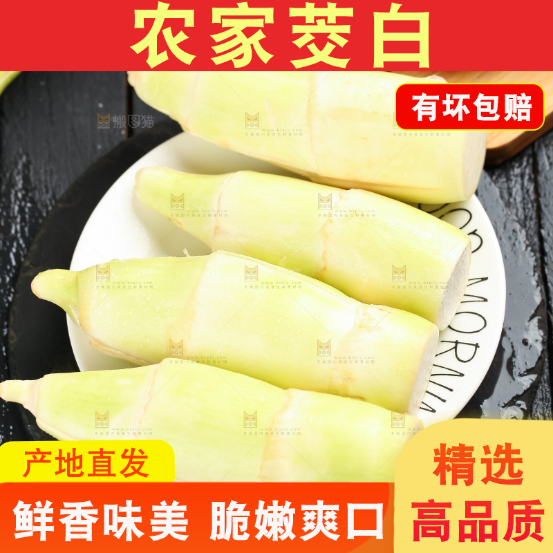 黑石板上的云南茭白