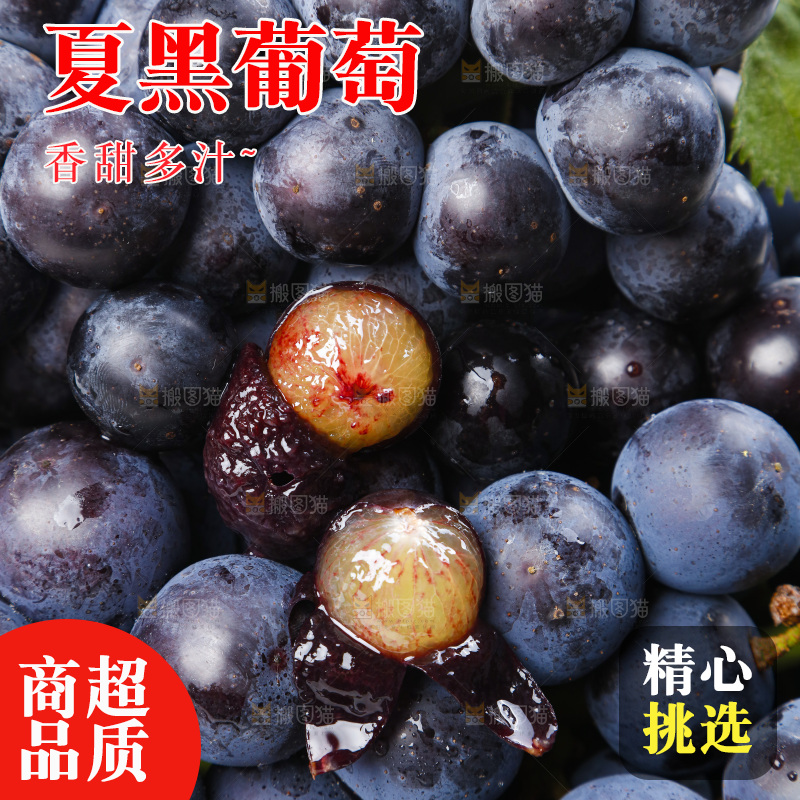 白底上的巨峰葡萄