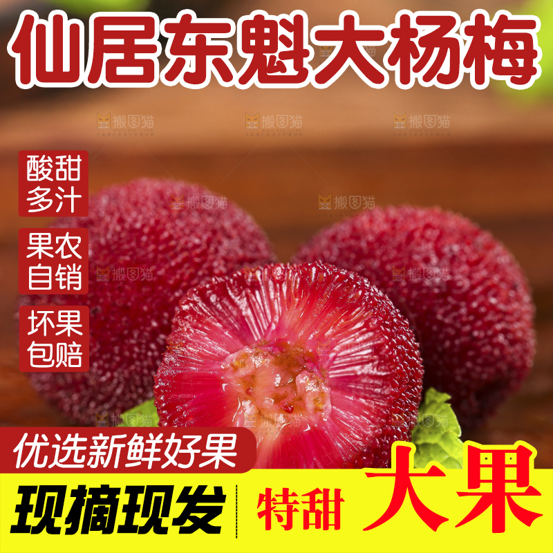 杨梅
