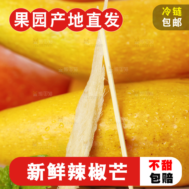 蓝底上的海南辣椒芒