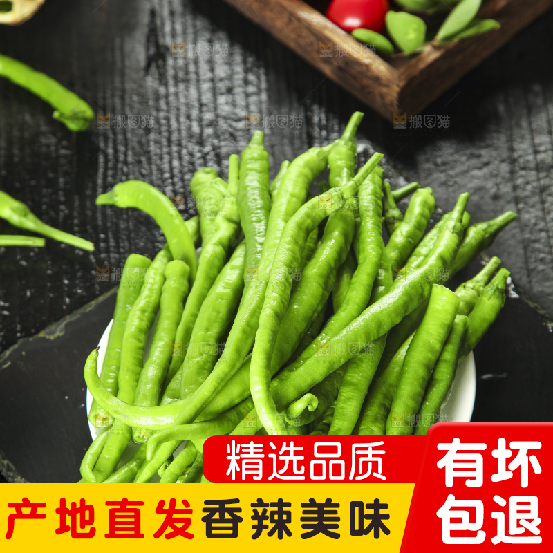 盘子里装着二荆条辣椒