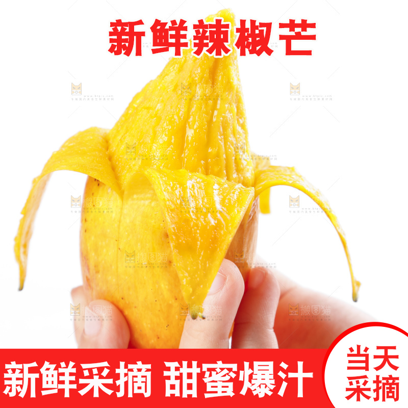 手里拿着新鲜芒果