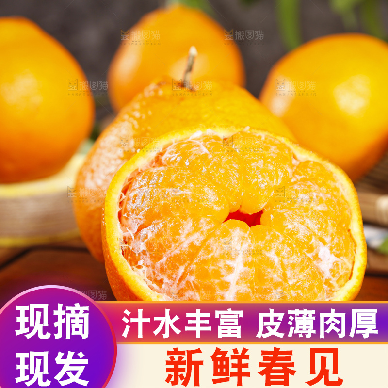 木板上的春见耙耙柑