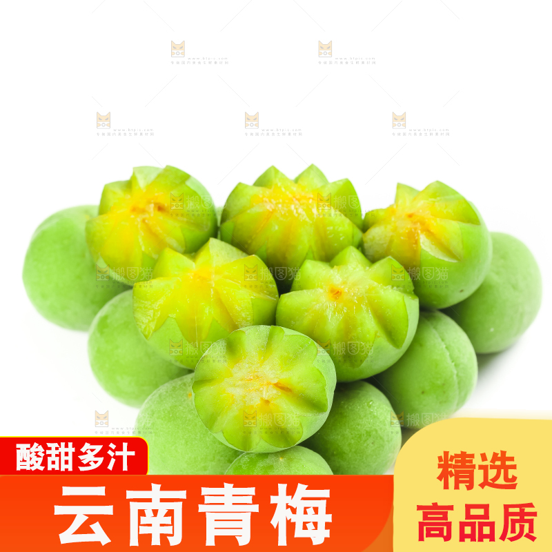 白底上的诏安青梅