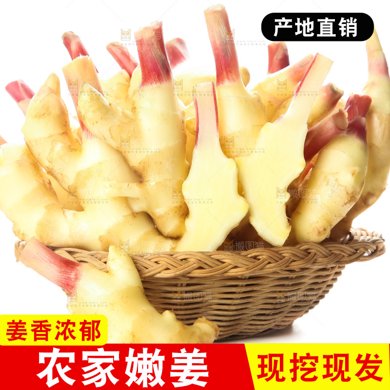 白底上的红芽嫩姜