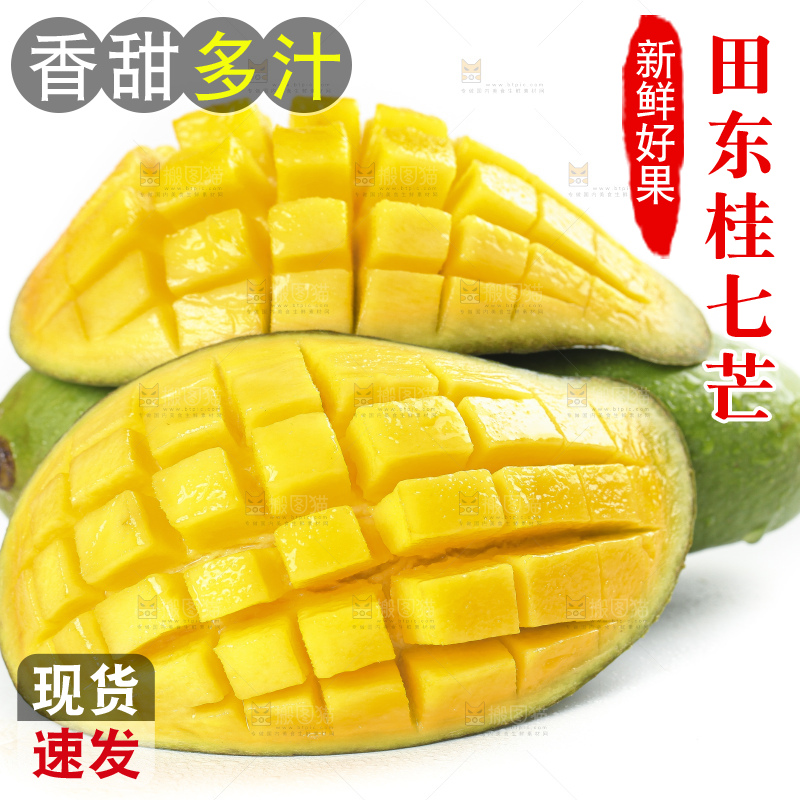 白底上的桂七香芒