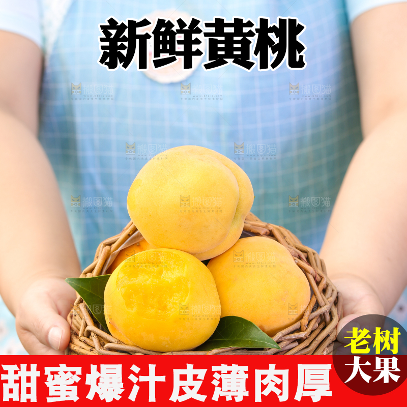 篮子里装着黄肉毛桃