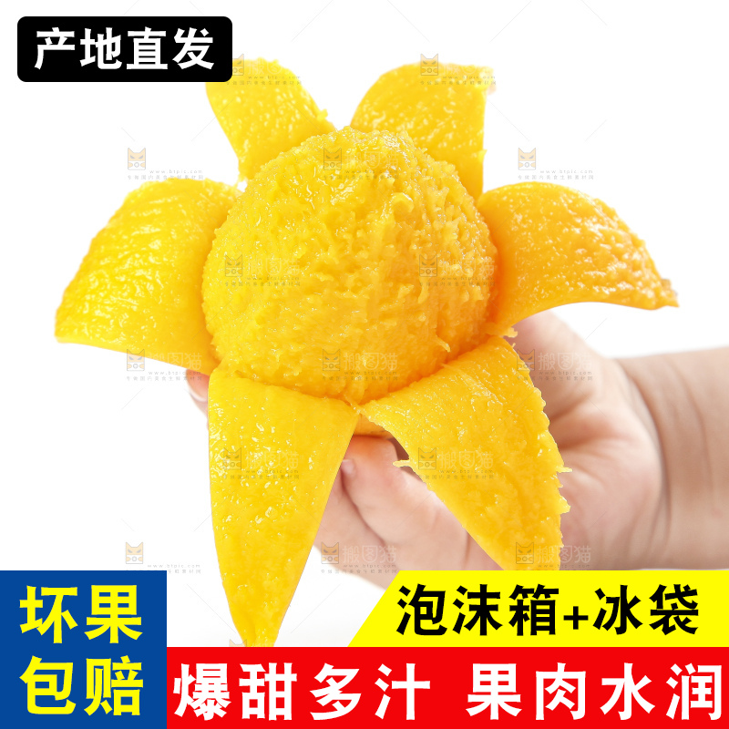 手里拿着小台农芒果肉
