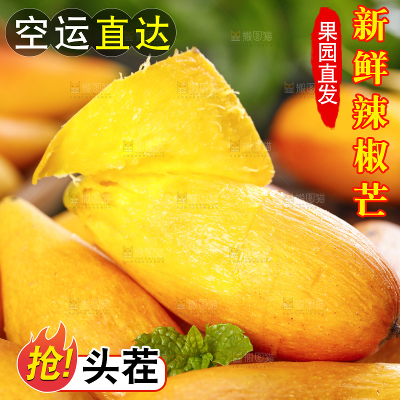 石板上的牙签芒