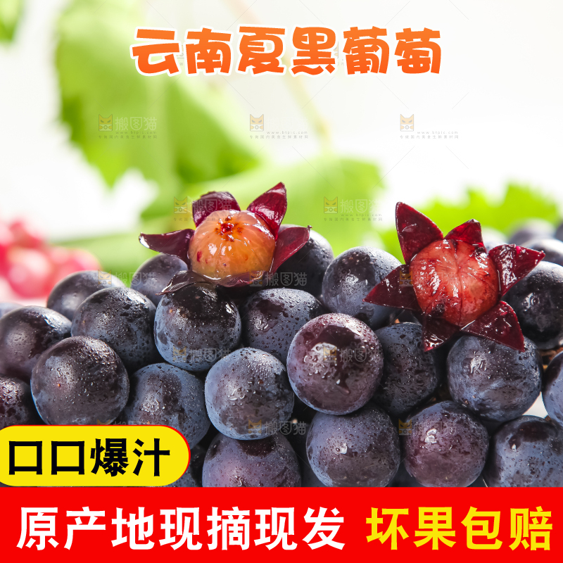 浅底上放着巨峰葡萄