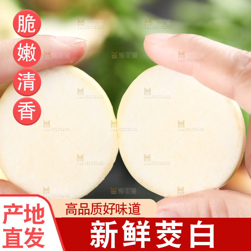 手里拿着湖北新鲜茭白