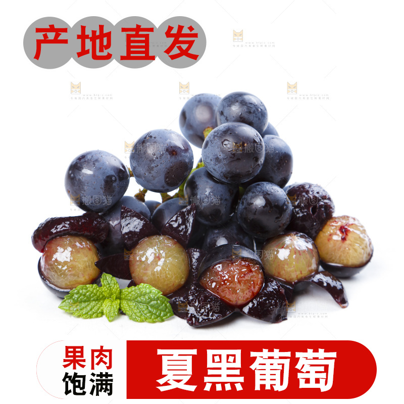 白底上的巨峰葡萄