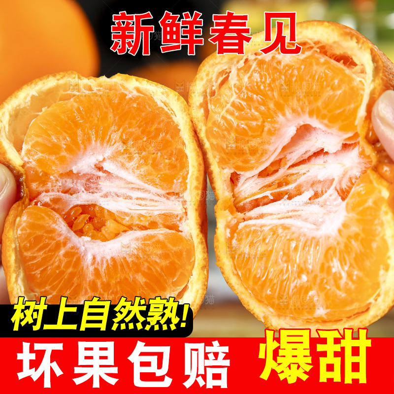 手里拿着四川耙耙柑