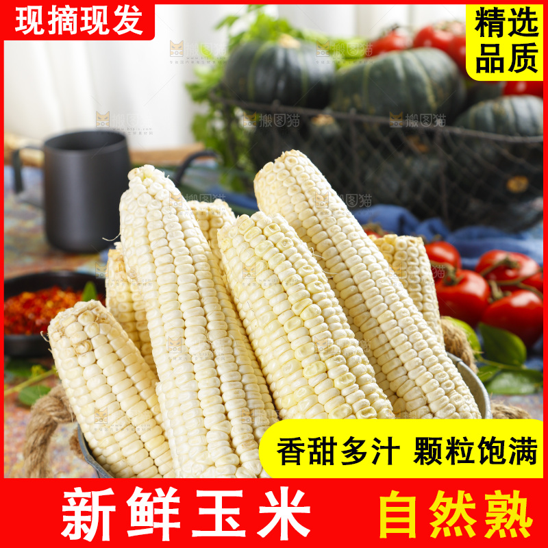 桶里装着牛奶玉米