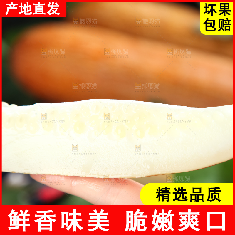手里拿着新鲜老黄瓜