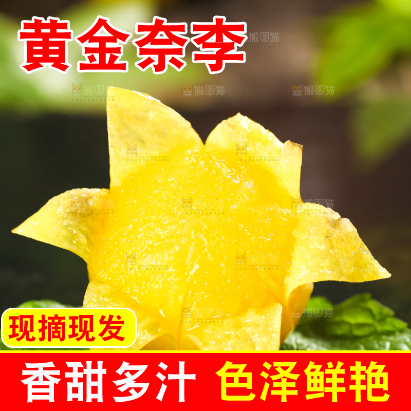 石板上的黄金李子