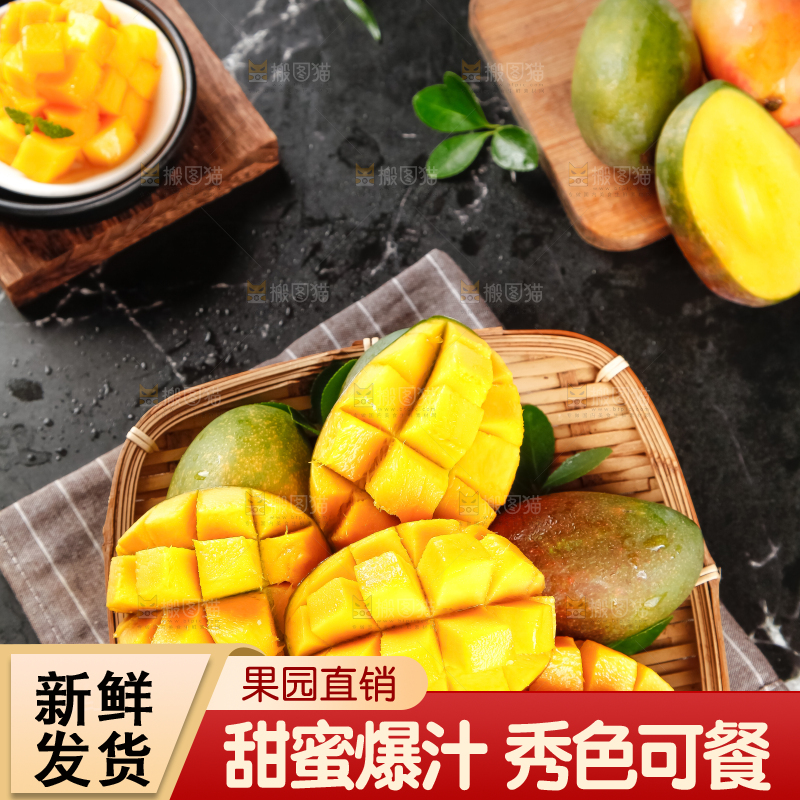 盘里装着爱文芒