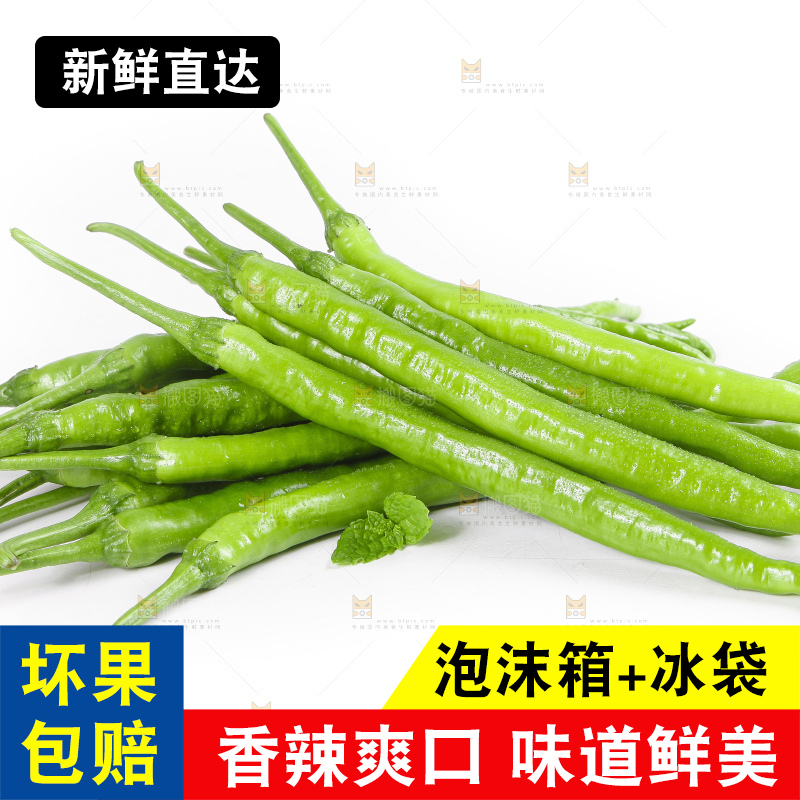 白底上的青线椒