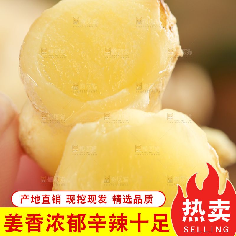 手里拿着红芽姜