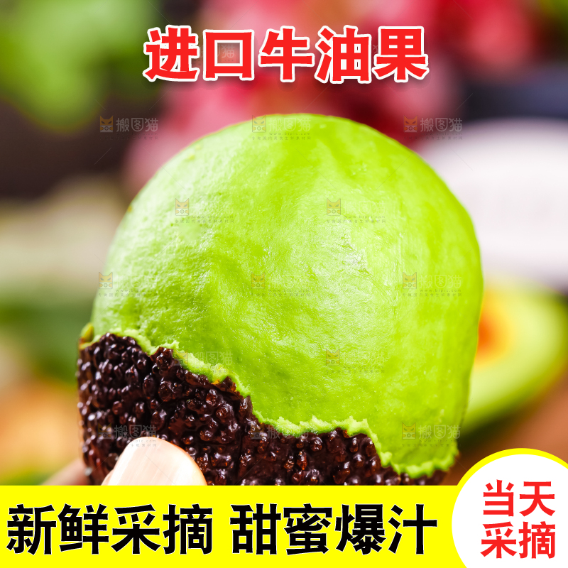 浅底上的巨无霸牛油果