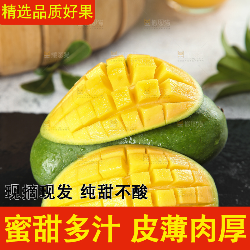 石板上的青皮桂七芒