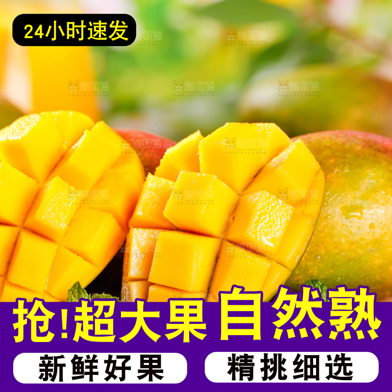木板上的四川吉禄芒