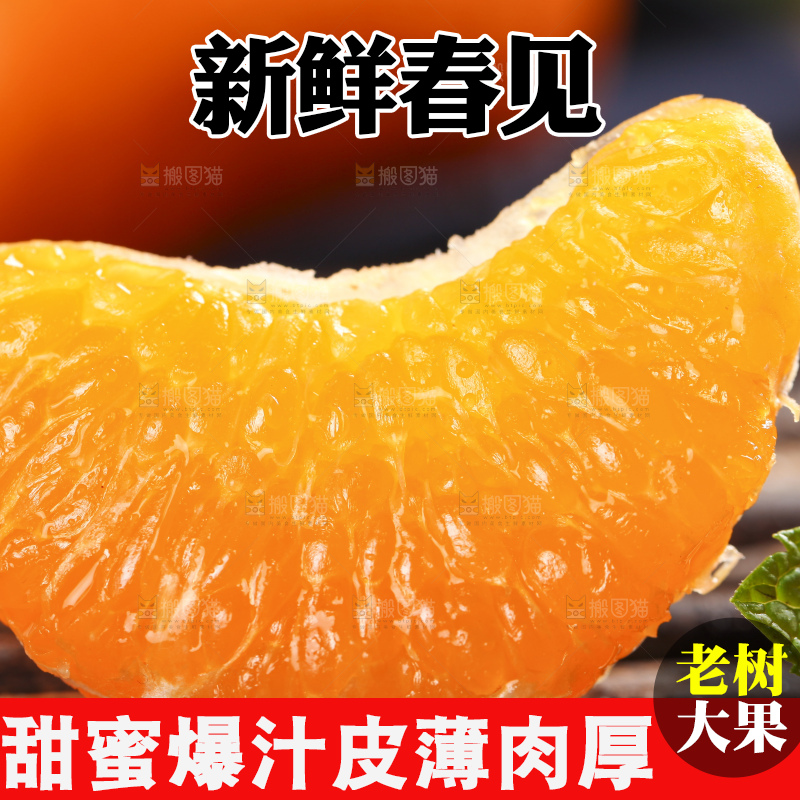 深底上放着春见橘柑