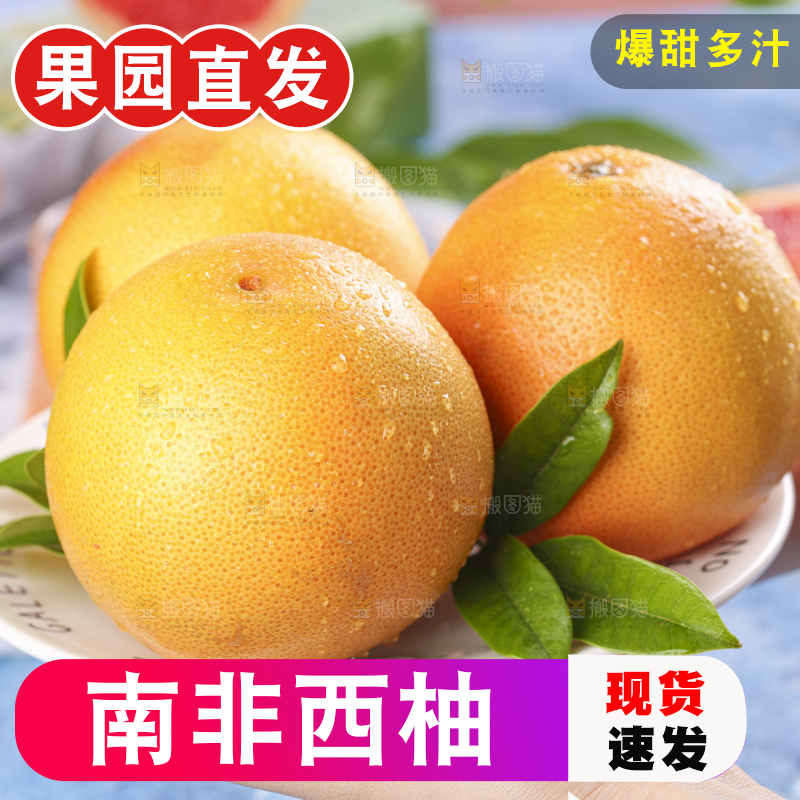 蓝底上的新鲜西柚
