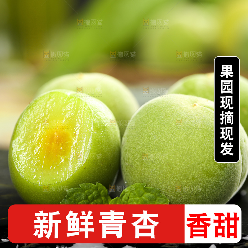 黑石板上摆放着青杏
